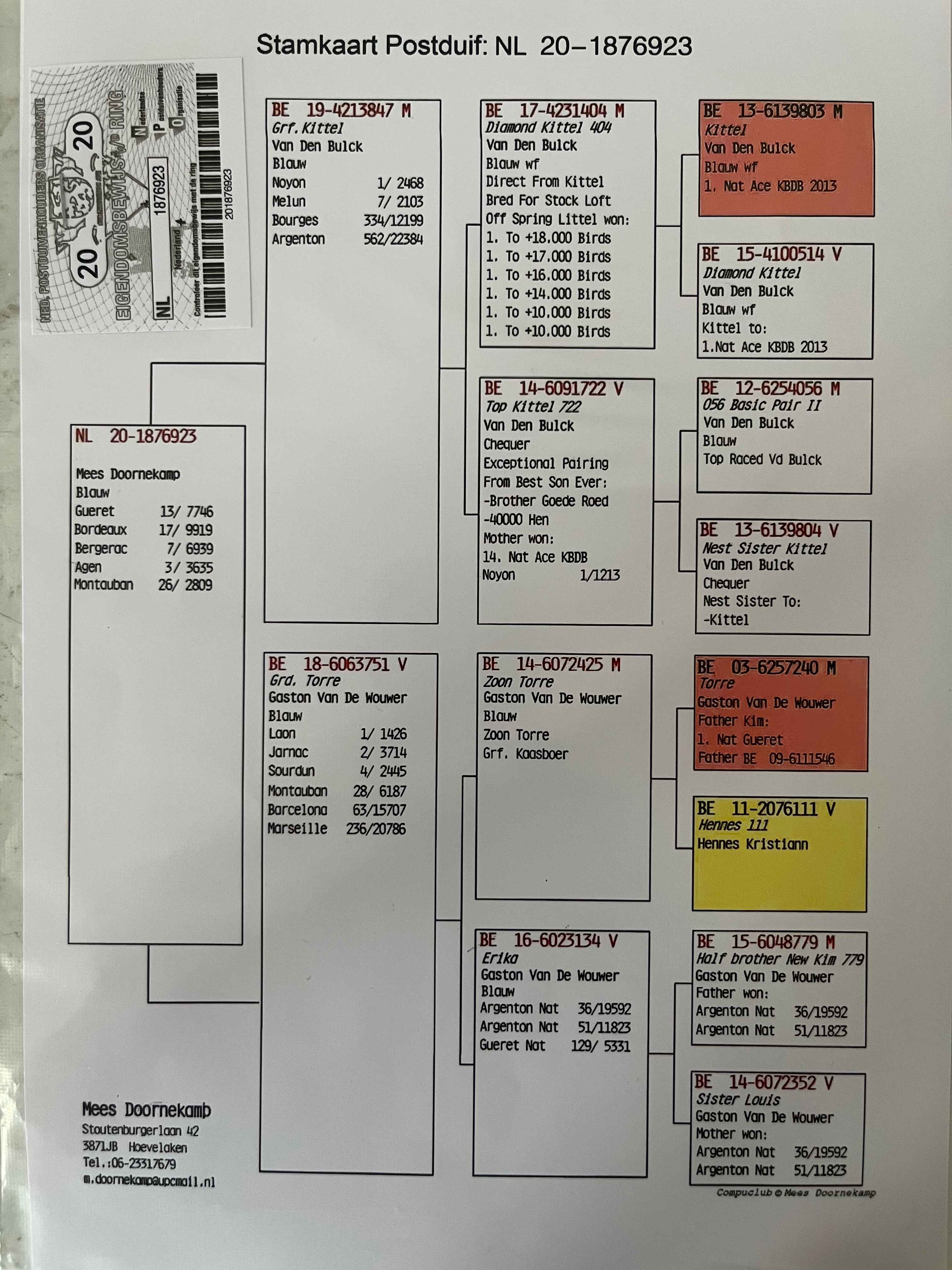 电竞竞猜官网:斯特拉斯堡主场逼平梅斯，暂时保持不败