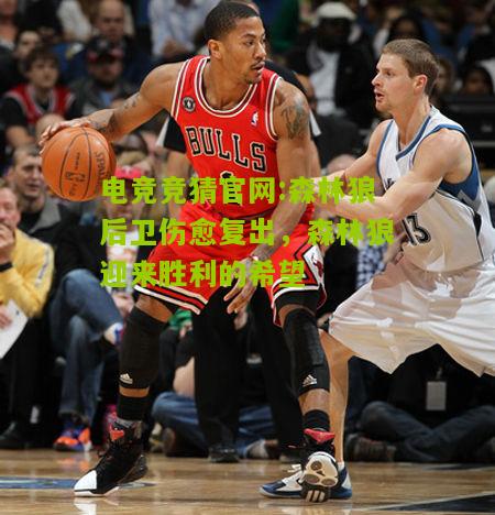 电竞竞猜官网:森林狼后卫伤愈复出，森林狼迎来胜利的希望