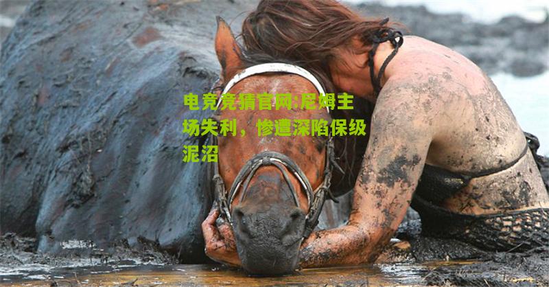电竞竞猜官网:尼姆主场失利，惨遭深陷保级泥沼